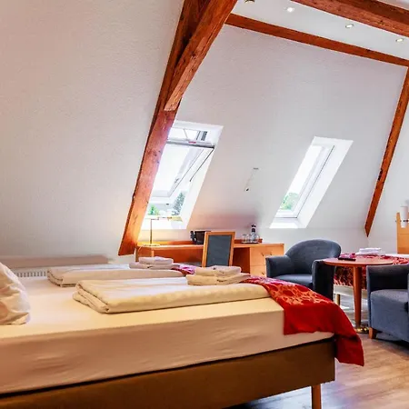 Bodensee-hotel Kreuz Hotel 3*