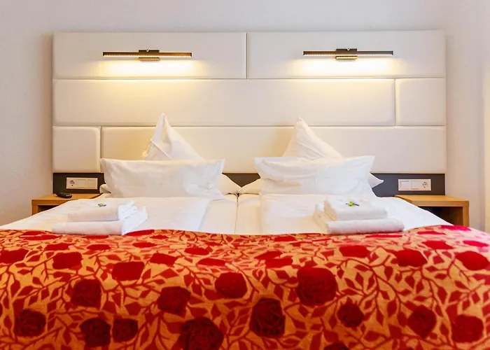 酒店 科鲁兹博登湖酒店 3*